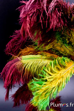 Struzzo - 35-40 cm - dorato azteco Autunno